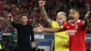 Roger Schmidt: «A nível internacional, o que o Benfica fez esta temporada foi extraordinário»