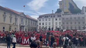 Euforia: centenas de adeptos do Benfica à espera da equipa na Câmara de Lisboa
