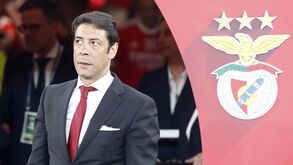 Rui Costa e as declarações de Sérgio Conceição: «Respeito as opiniões de toda a gente»