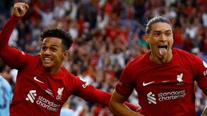 Fábio Carvalho: Miúdo que caiu nas boas graças de Jurgen Klopp pode rumar à Luz