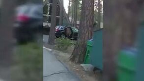 Urso entra num carro, senta-se no banco de trás e espera que lhe abram a porta