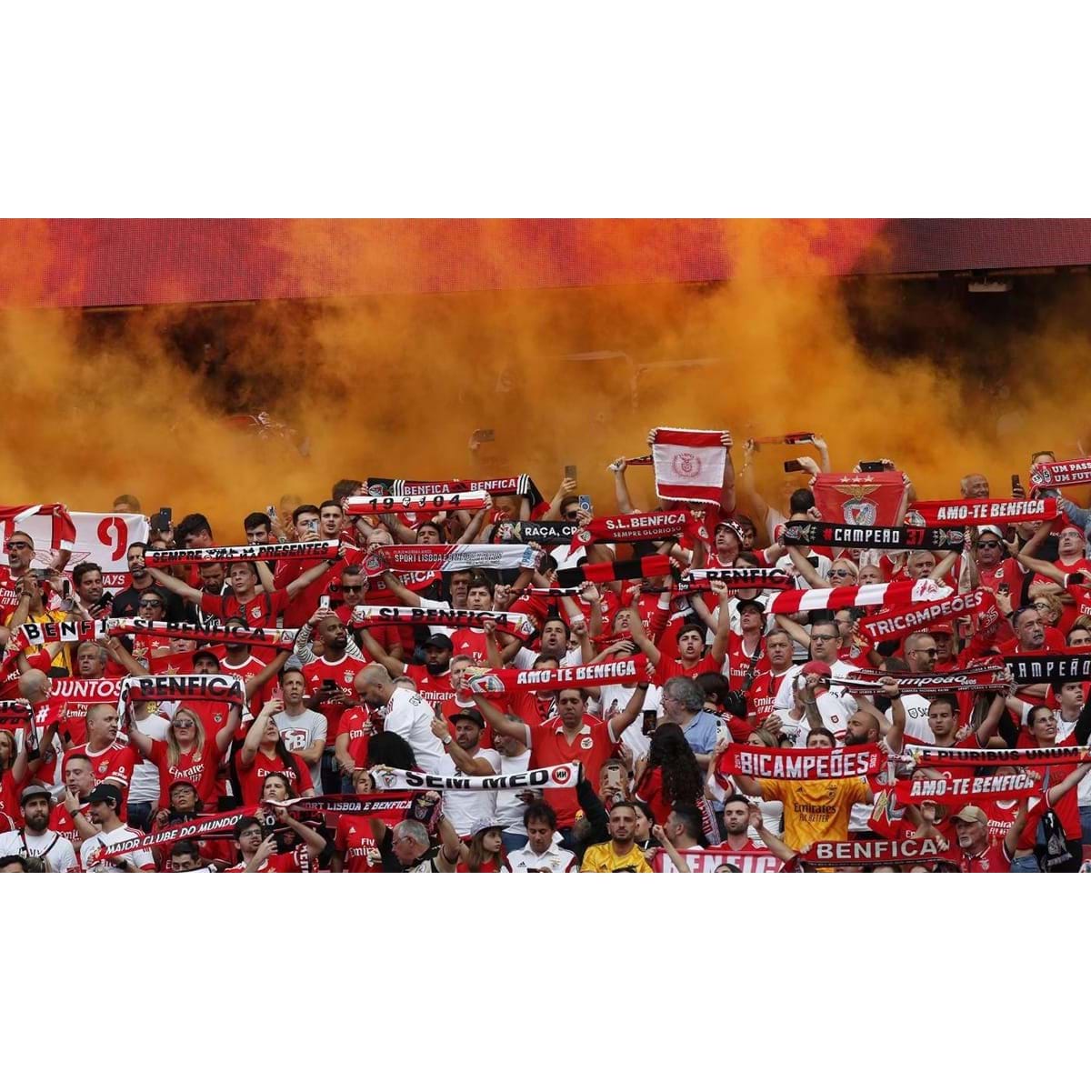 Benfica multado por pirotecnia e por felicitações a uma claque do Hajduk  Split