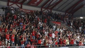 Investimento nas modalidades cresce mas Benfica prevê 1 milhão de lucro no clube: o orçamento para 23/24
