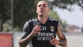 Benfica não vai acionar direito de opção por Amir Feratovic