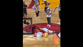 McGregor vai a jogo da NBA e deixa mascote dos Miami Heat K.O. com dois socos