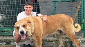 Kerkez partilhou foto do cão mas nos comentários só falam no... Benfica