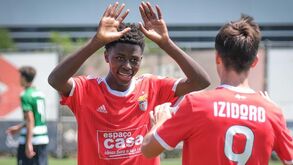 Benfica-Sporting, 5-0: águia arrasou leão