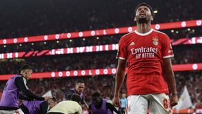 Foram estes golos (e outros) que colocaram Gonçalo Ramos na lista dos tubarões europeus