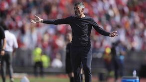 Jorge Amaral: «Sérgio Conceição vai comandar a equipa do FC Porto na Supertaça»