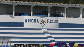 Nova direção do Amora ao trabalho
