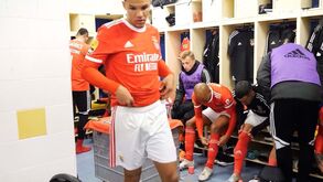 O 'olá e adeus' a Enzo, as lágrimas de André Almeida e a previsão de Gonçalo Ramos sobre João Mário