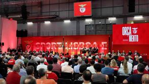 Orçamento aprovado, elogios a Rui Costa e algumas críticas: tudo o que aconteceu na AG do Benfica