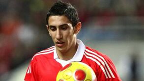 Rui Águas 'aprova' regresso de Di María ao Benfica: «Conhece o clube, teve sucesso e os adeptos apreciam-no»