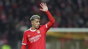 Enzo Fernández: «Estou muito agradecido ao Benfica»