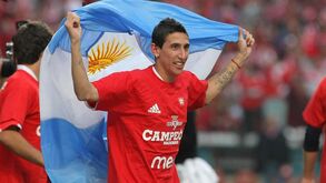 Di María volta ao Benfica: argentino tem desconto de 50% nos impostos