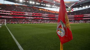 Estádio da Luz vai ter relvado novo para a próxima temporada