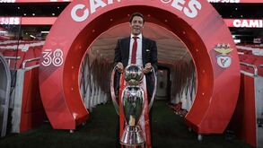 Benfica vai investir forte a pensar na Champions: só o campeão entra direto em 2024/25