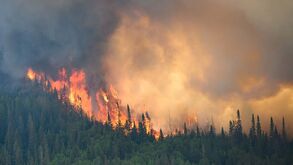 Fumo dos incêndios no Canadá cancela estafeta mista do Mundial de triatlo