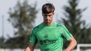 Sporting e Lyon negoceiam transferência de Afonso Moreira: os moldes do possível negócio