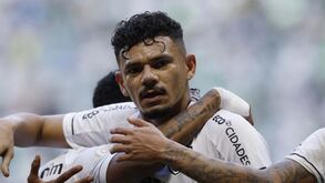 Palmeiras-Botafogo, 0-1: estrela do Fogão ainda mais solitária