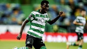 Operação 'folha limpa' em Alvalade: oito saídas que podem fazer o Sporting poupar milhões