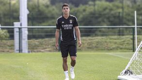 Divergência de agentes, ofertas do estrangeiro e resistência do jogador: o caminho até à renovação de Martim Neto