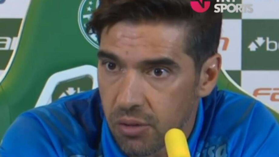 Palmeiras foi derrotado pelo Fogão no campeonato brasileiro