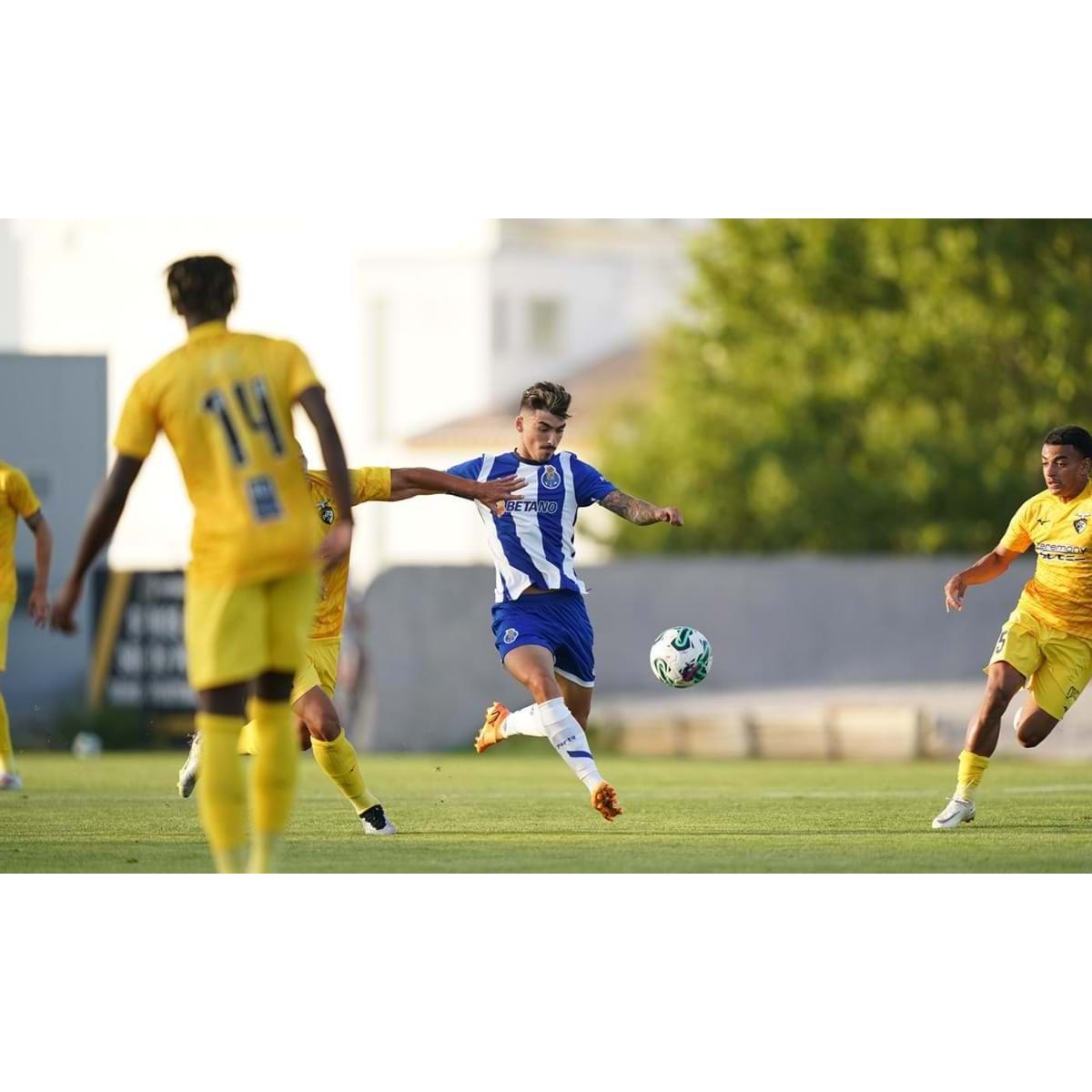 André Franco: É muito importante para o FC Porto voltar a conquistar o  campeonato