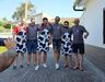 A Liga da Sagrada Vaca, em Condeixa