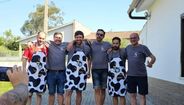 A Liga da Sagrada Vaca, em Condeixa