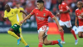 «Tiago Gouveia? Faz sentido jogar mais uma temporada num clube de média dimensão»