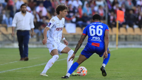 Van der Gaag vai renovar com a U. Leiria