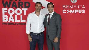 Nélson Veríssimo regressa ao Benfica: águias oficializam mudanças na equipa B, sub-23 e sub-19