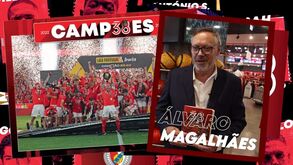 Álvaro Magalhães já tem a caderneta do Benfica campeão e um cromo favorito: Grátis com o Record, a partir de amanhã!