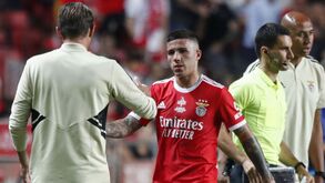 Enzo Fernández lembra o Benfica: «Roger Schmidt confiou em mim até à morte»