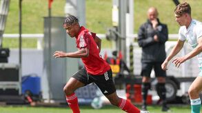 As notas dos jogadores do Benfica frente ao Southampton: Neres diabo à solta de olho no golo