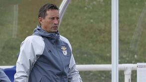 Schmidt sorri com reforços