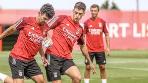 As contas dos centrais do Benfica: seis candidatos para quatro vagas