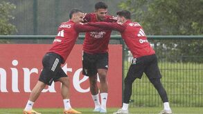 Gonçalo Ramos disponível