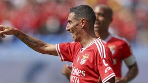 Di María como se nunca tivesse saído: as notas dos jogadores do Benfica e análise aos reforços