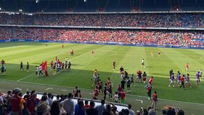 Todos quiseram uma recordação: adeptos do Benfica invadiram relvado após jogo com o Basileia