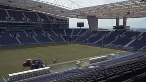 FC Porto mostra novo relvado do Estádio do Dragão
