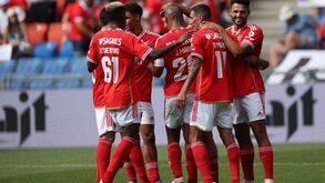 Reforços do Benfica vistos à lupa: uma lança ofensiva, um cérebro no meio-campo e uma ameaça refinada