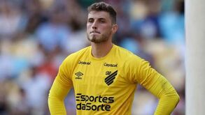 Impaciência no dossiê Bento