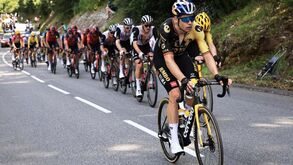 Wout van Aert desiste do Tour para acompanhar nascimento do filho