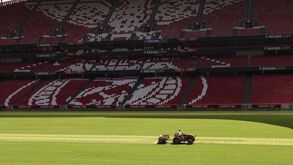 Assim está o relvado do Estádio da Luz