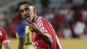 Parece tudo uma brincadeira: as notas dos jogadores do Benfica e a análise aos reforços
