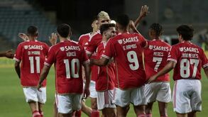 «Roger Schmidt vai ficar ainda mais confuso»: Paulo Madeira rendido aos reforços do Benfica