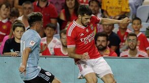 «São superiores a Grimaldo em termos defensivos»: Álvaro Magalhães analisa Jurásek e Ristic