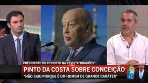 Sérgio Krithinas: «É recorrente Pinto da Costa passar a ideia de que existe uma conspiração para prejudicar o FC Porto»